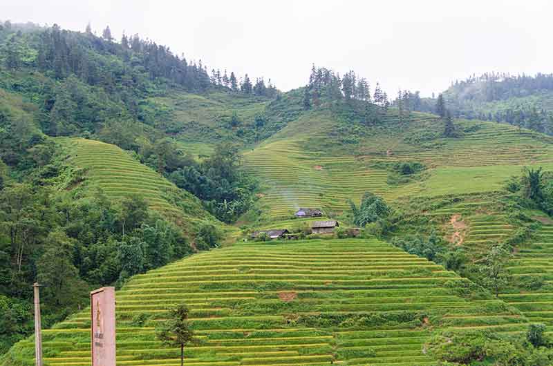 247 - Vietnam - montes Hoang Lien o Alpes Tonquineses - paisaje
